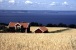 Typisch f�r Schweden!