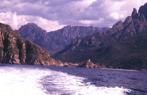Le Golfe de Porto avec la tour g�noise et la plage.