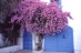 Sidi Bou Sa�d.